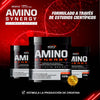 AMINO SYNERGY 420 G - 3