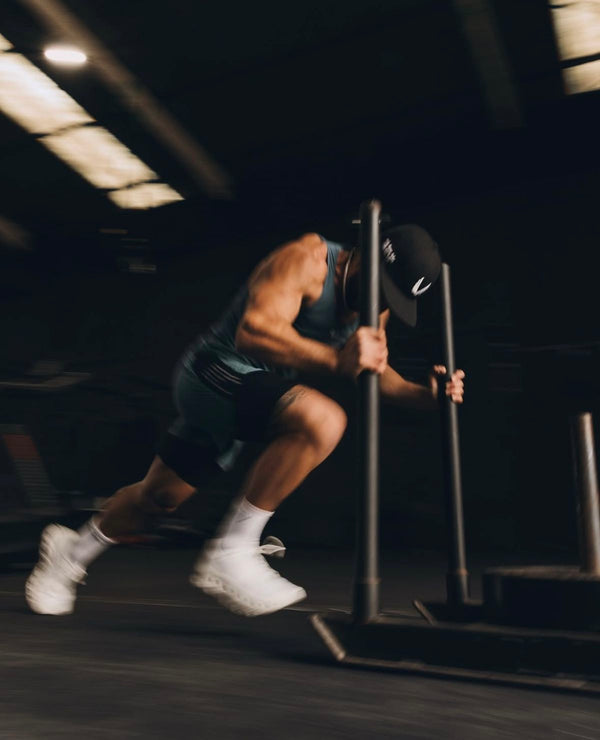 Desarrollo muscular